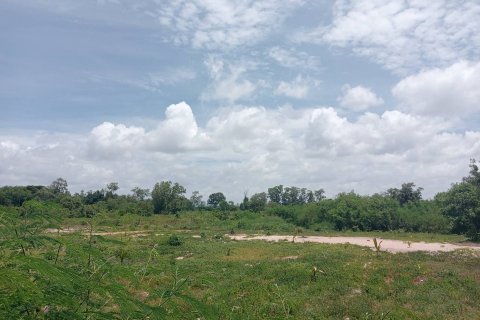 Земельный участок в Районге, Таиланд 60800м2 № 164366 - фото 6