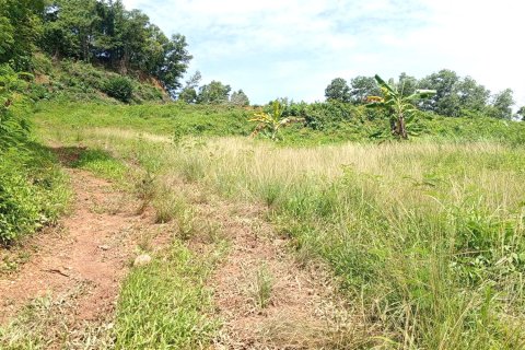 Terrain à Phuket, Thaïlande 12464 m2 № 164364 - photo 7