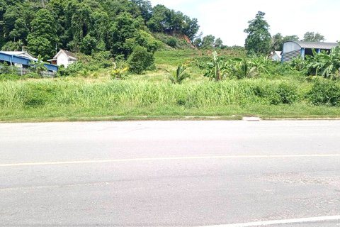 Terrain à Phuket, Thaïlande 12464 m2 № 164364 - photo 5