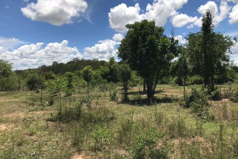 Terrain à Sam Roi Yot, Thaïlande № 168548 - photo 2