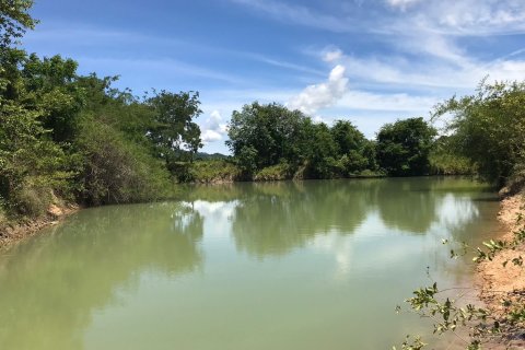 Terrain à Sam Roi Yot, Thaïlande № 168548 - photo 6