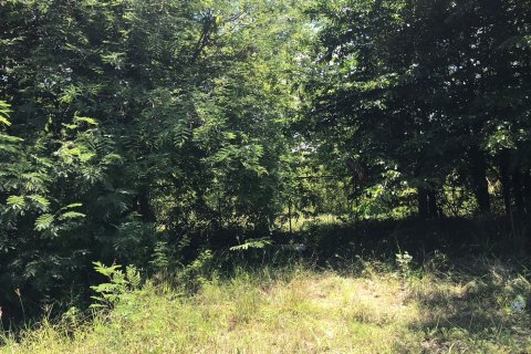 Terrain à Sam Roi Yot, Thaïlande № 168548 - photo 7