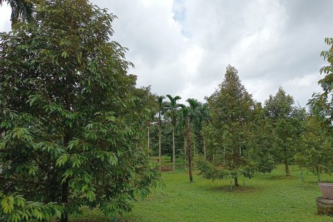 Land in Chanthaburi, Thailand 4800 sq.m. № 142694 - photo 3