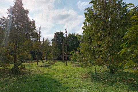 Land in Chanthaburi, Thailand 4800 sq.m. № 142694 - photo 9