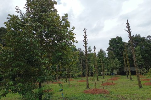 Land in Chanthaburi, Thailand 4800 sq.m. № 142694 - photo 4