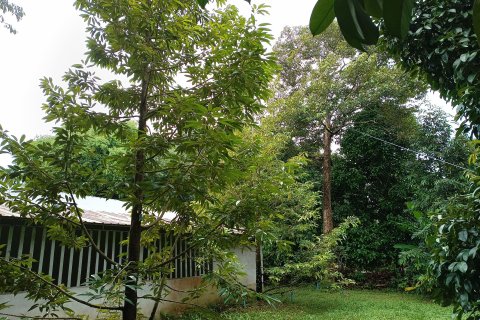 Land in Chanthaburi, Thailand 4800 sq.m. № 142694 - photo 15