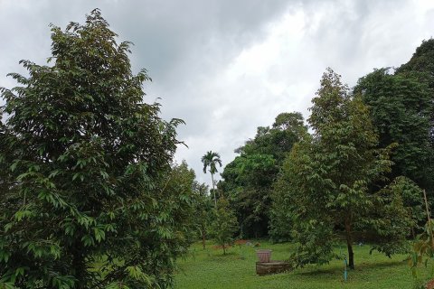 Land in Chanthaburi, Thailand 4800 sq.m. № 142694 - photo 5