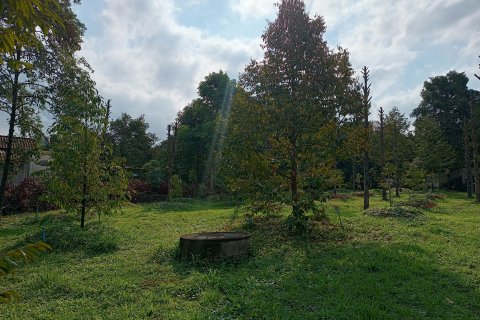 Land in Chanthaburi, Thailand 4800 sq.m. № 142694 - photo 6