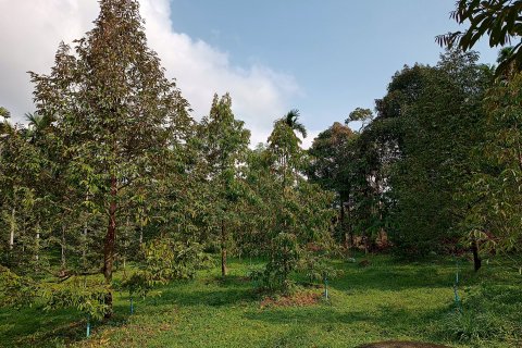 Land in Chanthaburi, Thailand 4800 sq.m. № 142694 - photo 2