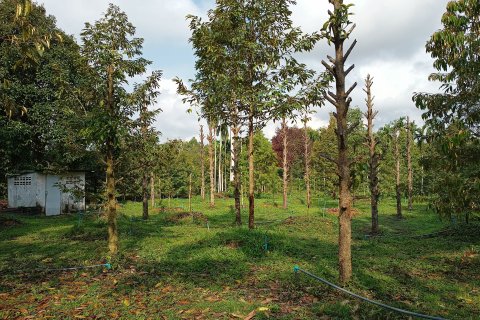 Land in Chanthaburi, Thailand 4800 sq.m. № 142694 - photo 8