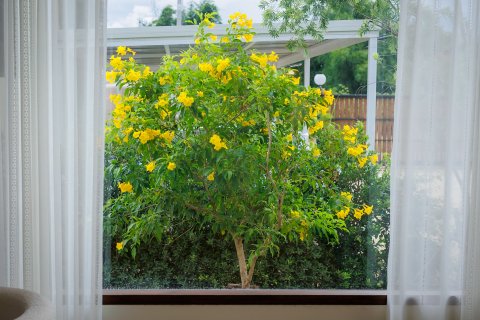 Villa à Kanchanaburi, Thaïlande 3 chambres № 138977 - photo 17