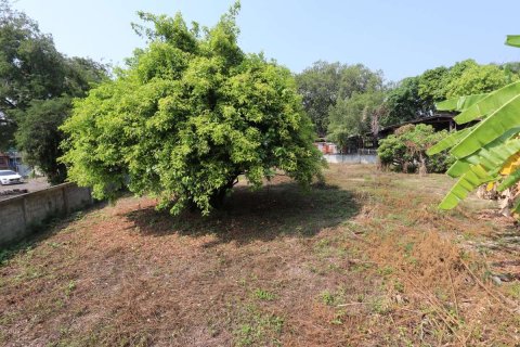 Земельный участок в Чиангмае, Таиланд  № 175572 - фото 8