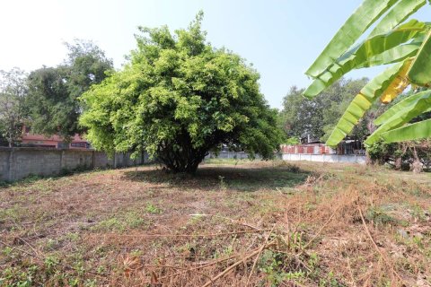 Земельный участок в Чиангмае, Таиланд  № 175572 - фото 2