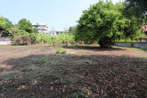 Земельный участок в Чиангмае, Таиланд  № 175572 - фото 5