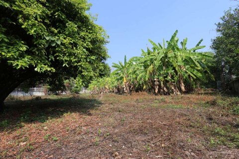 Земельный участок в Чиангмае, Таиланд  № 175572 - фото 3