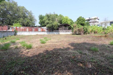 Земельный участок в Чиангмае, Таиланд  № 175572 - фото 6