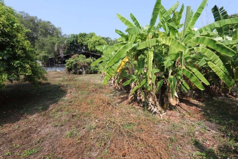 Земельный участок в Чиангмае, Таиланд  № 175572 - фото 9