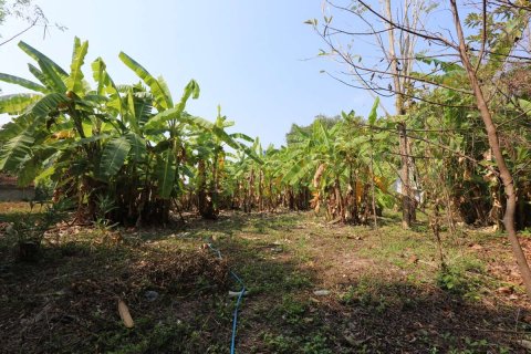 Земельный участок в Чиангмае, Таиланд  № 175572 - фото 11