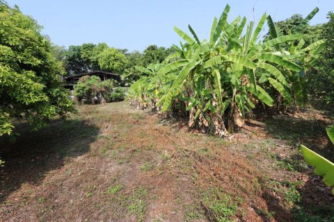 Земельный участок в Чиангмае, Таиланд  № 175572 - фото 7