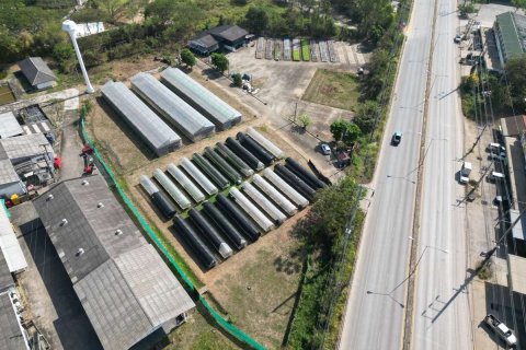 Земельный участок в Чиангмае, Таиланд  № 175574