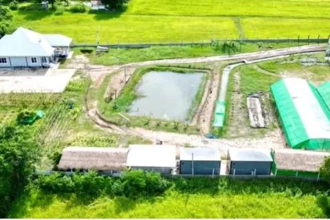 Дом в Накхонратчасиме, Таиланд с 3 спальнями  № 156102 - фото 1