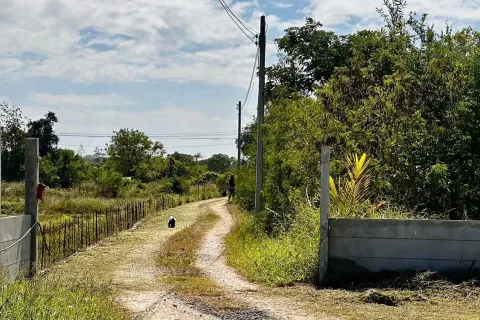 Дом в Накхонратчасиме, Таиланд с 3 спальнями  № 156102 - фото 24