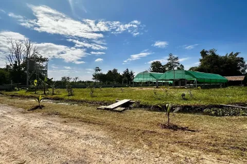 Дом в Накхонратчасиме, Таиланд с 3 спальнями  № 156102 - фото 28