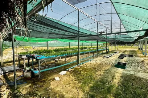 Дом в Накхонратчасиме, Таиланд с 3 спальнями  № 156102 - фото 30