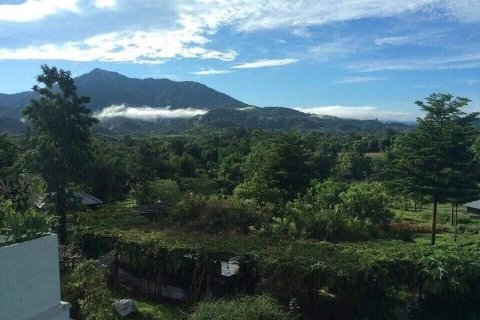 Земельный участок в Чианграе, Таиланд 4800м2 № 164263