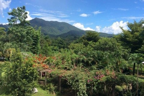 Land in Chiang Rai, Thailand 4800 sq.m. № 164263 - photo 2