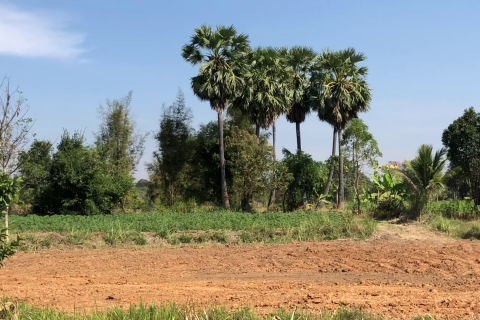 Land in Sikhio, Thailand 24000 sq.m. № 151868 - photo 7