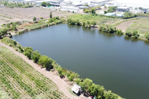 Земельный участок в Банг Па-ине, Таиланд 82161.2м2  № 159110 - фото 3