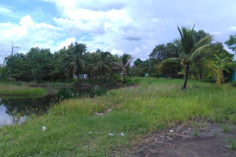 Land in Pathum Thani, Thailand 11200 sq.m. № 159109 - photo 2