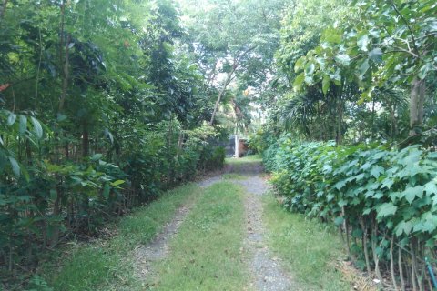 Land in Pathum Thani, Thailand 11200 sq.m. № 159109 - photo 4