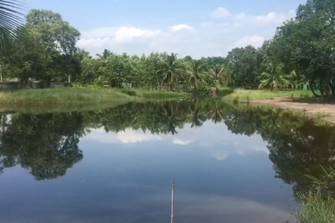 Land in Pathum Thani, Thailand 11200 sq.m. № 159109 - photo 5