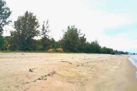 Terrain à Nakhon Si Thammarat, Thaïlande 3015.6 m2 № 159074 - photo 5