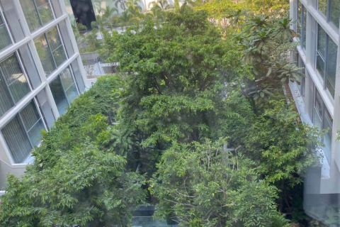 Studio dans le Condo à Watthana, Bangkok, Thaïlande  № 171203 - photo 6