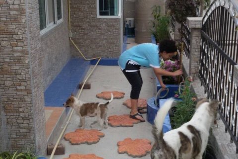 House in Samut Sakhon, Thailand 4 bedrooms № 153614 - photo 5