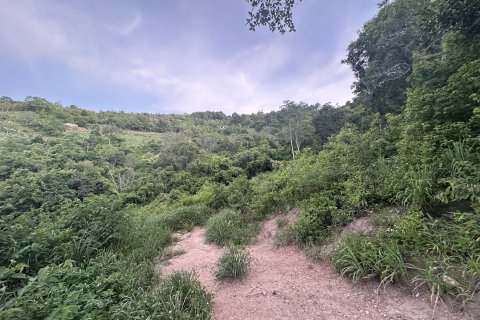 Land in Ko Samui, Thailand 498 sq.m. № 153619 - photo 2