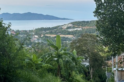 Land in Ko Samui, Thailand 498 sq.m. № 153619 - photo 13