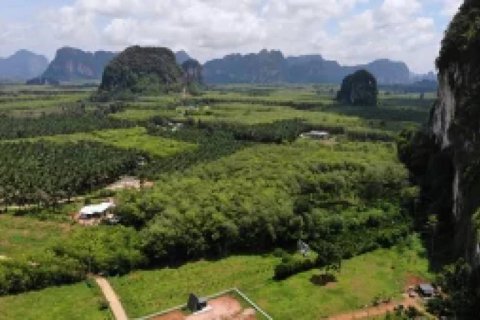 Вилла в Краби, Таиланд с 2 спальнями  № 146915 - фото 7