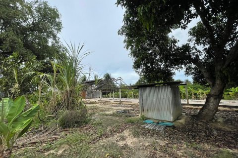 Земельный участок в Паттайе, Таиланд 3200м2  № 167501 - фото 3