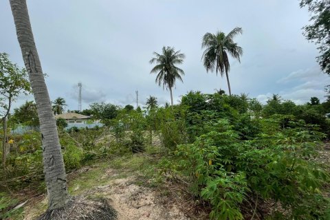 Земельный участок в Паттайе, Таиланд 3200м2  № 167501 - фото 7