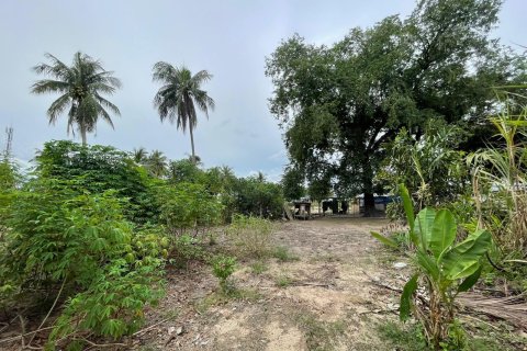 Земельный участок в Паттайе, Таиланд 3200м2  № 167501 - фото 4