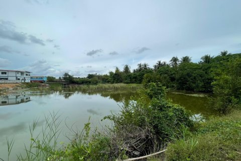 Земельный участок в Паттайе, Таиланд 3200м2  № 167501 - фото 27