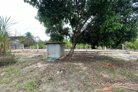 Земельный участок в Паттайе, Таиланд 3200м2  № 167501 - фото 6