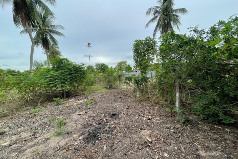 Земельный участок в Паттайе, Таиланд 3200м2  № 167501 - фото 9