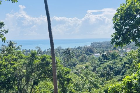 Terrain à Ko Samui, Thaïlande 11200 m2 № 156856 - photo 4