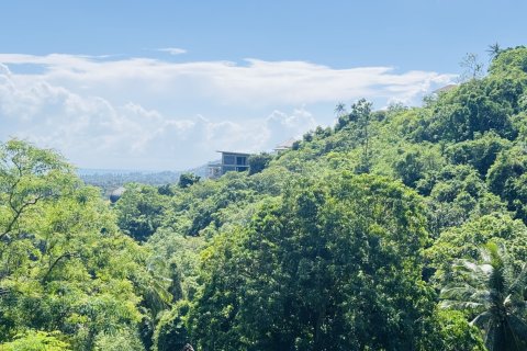Terrain à Ko Samui, Thaïlande 11200 m2 № 156856 - photo 2