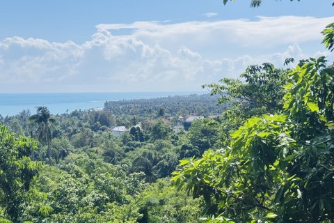Terrain à Ko Samui, Thaïlande 11200 m2 № 156856